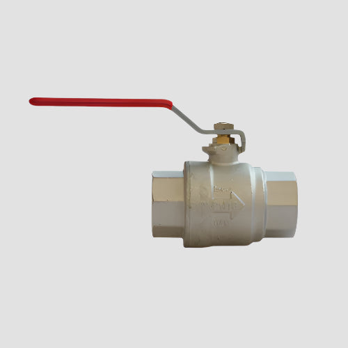 Filter Ball Valve - Female